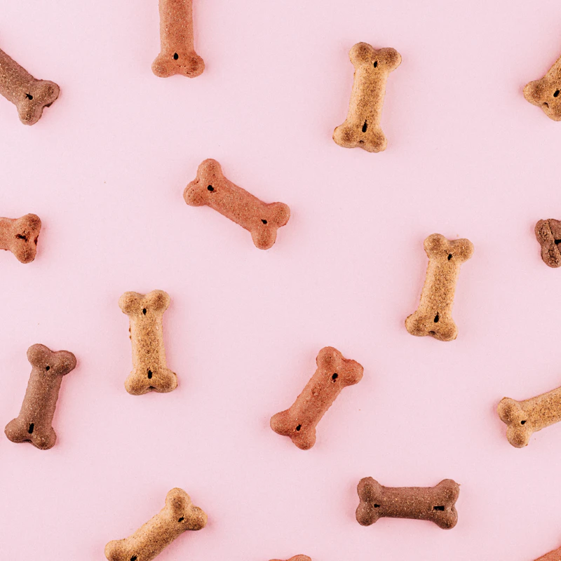 Durable Rubber Chew Bone β Pet Supplies at Peasley Store