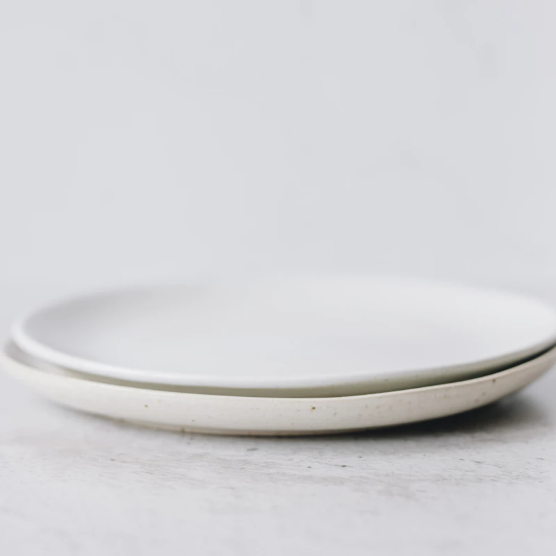 Stoneware Dinner Plate Set of 4 β Home & Kitchen at Peasley Store